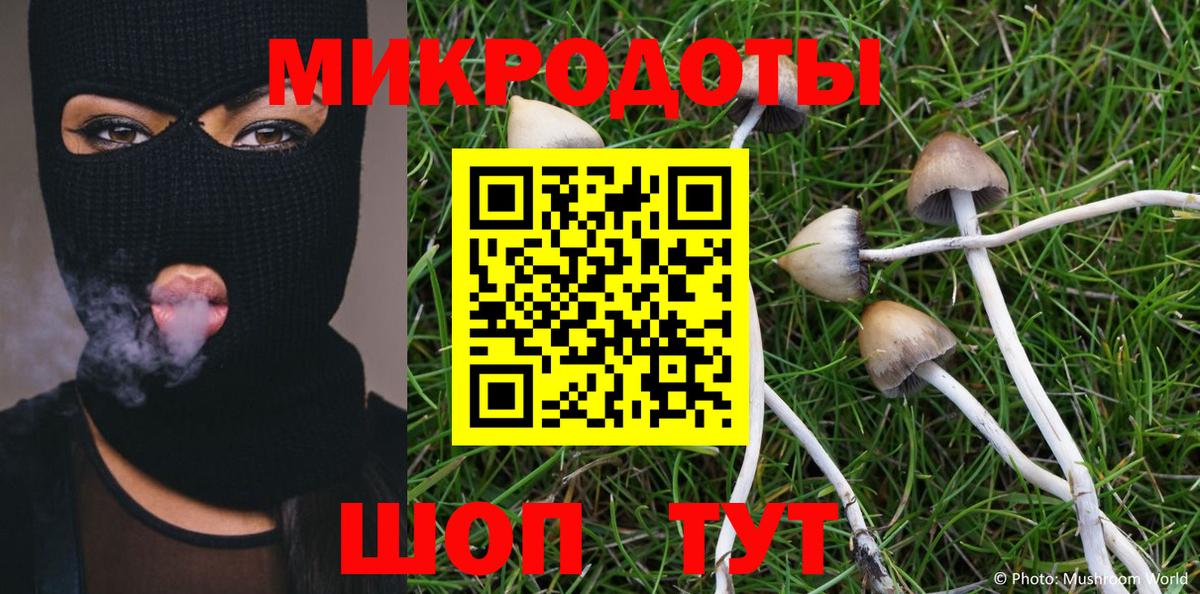 Псилоцибиновые грибы прущие грибы  Псилоцибиновые грибы Cubensis  Пушкино  Вход с VPN 